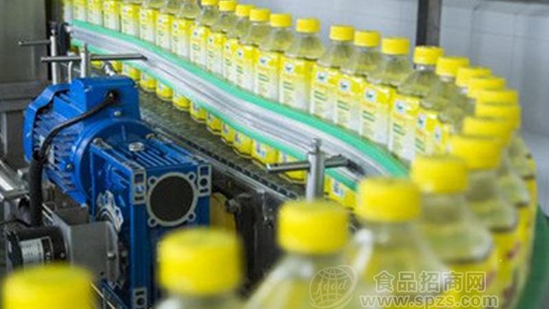油炸机型号如何选？揭秘食品饮料工厂的明智之选